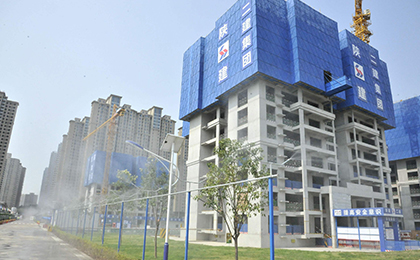 建筑爬架网
